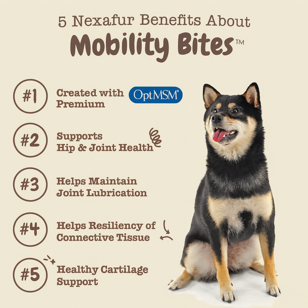 FlexiStride™ Advanced Hip And Joint Health Chews