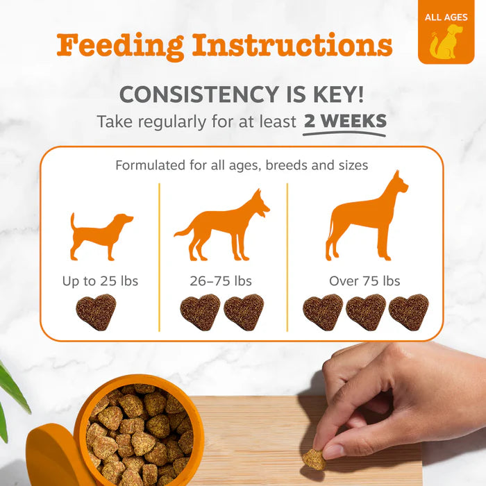 BioTail™ Advanced Probiotic Chews
