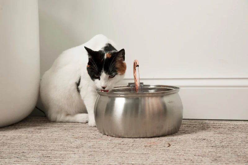 Nexafur Stainless Steel Cat Water Fountain