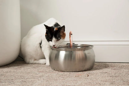 Nexafur Stainless Steel Cat Water Fountain