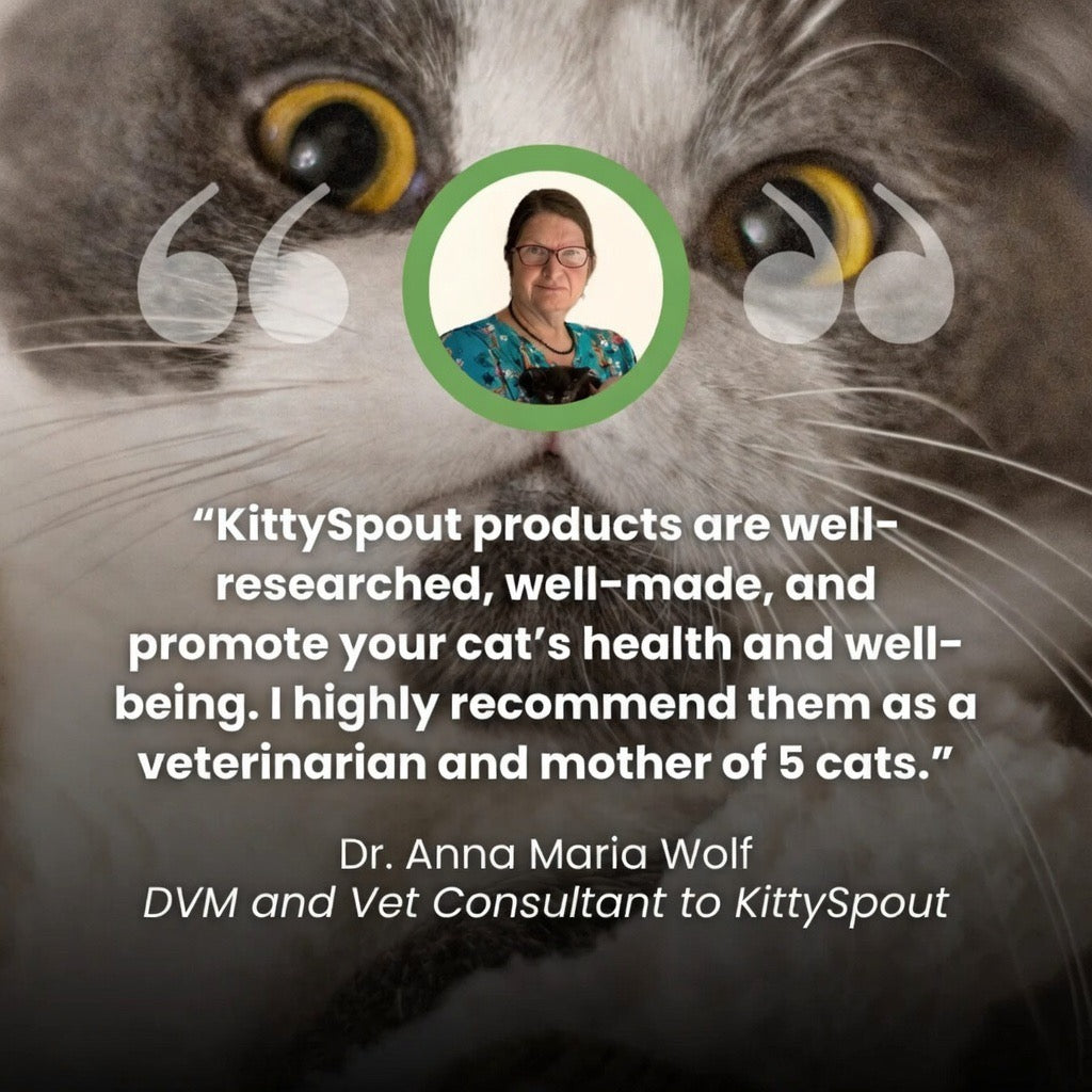 Nexafur Stainless Steel Cat Water Fountain