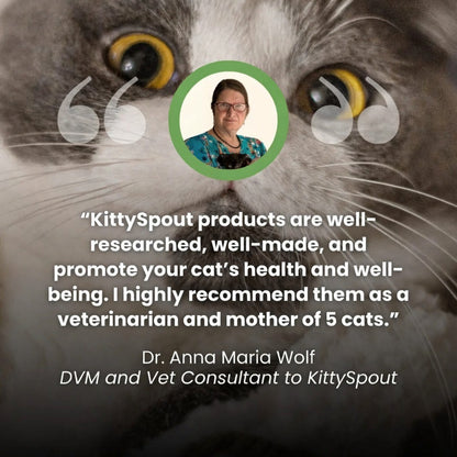 Nexafur Stainless Steel Cat Water Fountain