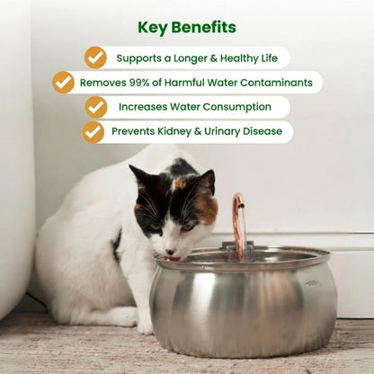 Nexafur Stainless Steel Cat Water Fountain