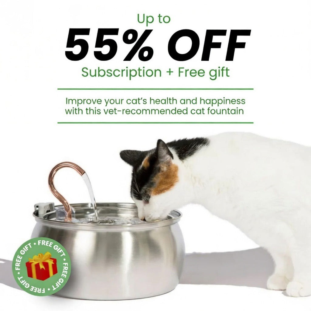 Nexafur Stainless Steel Cat Water Fountain