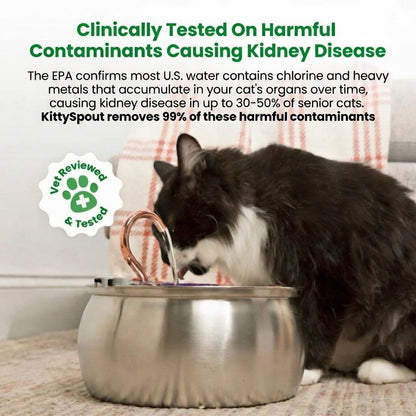 Nexafur Stainless Steel Cat Water Fountain