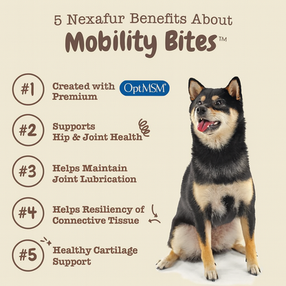 FlexiStride™ Advanced Hip And  Joint Health Chews