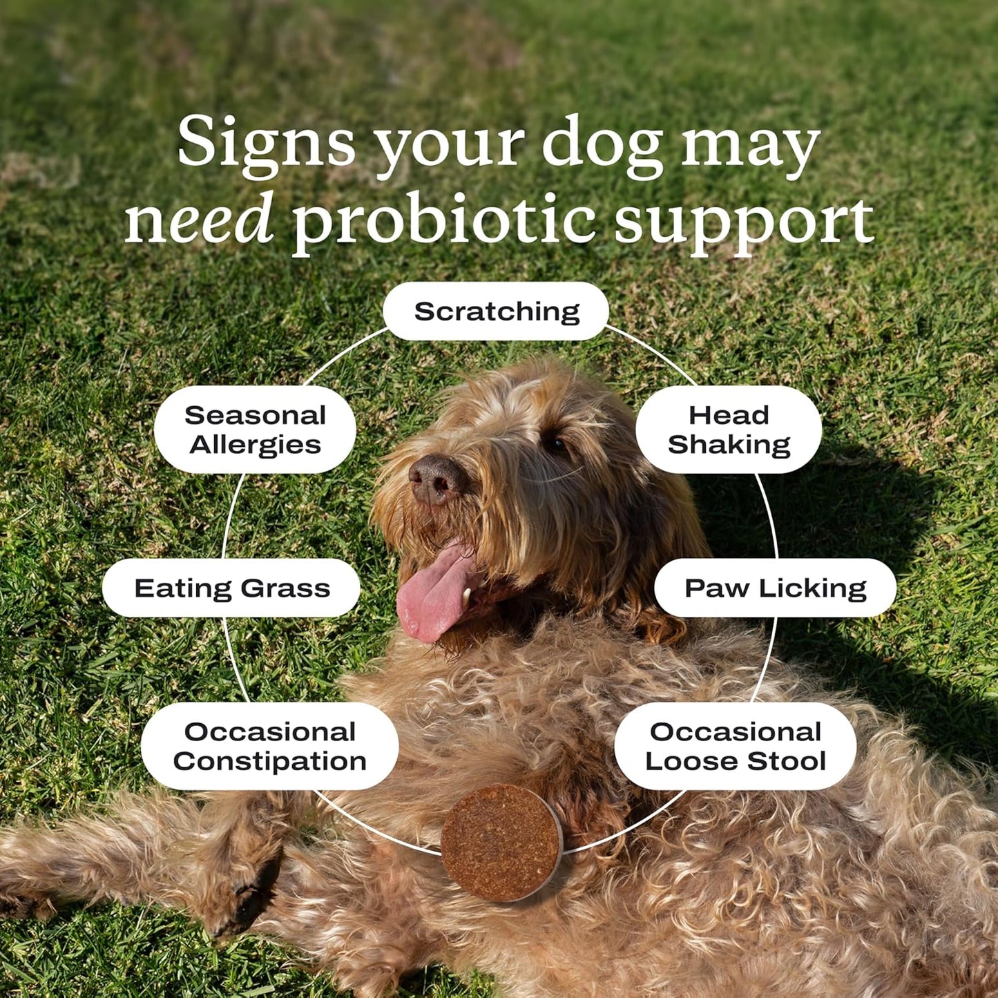 BioTail™ Advanced Probiotic Chews