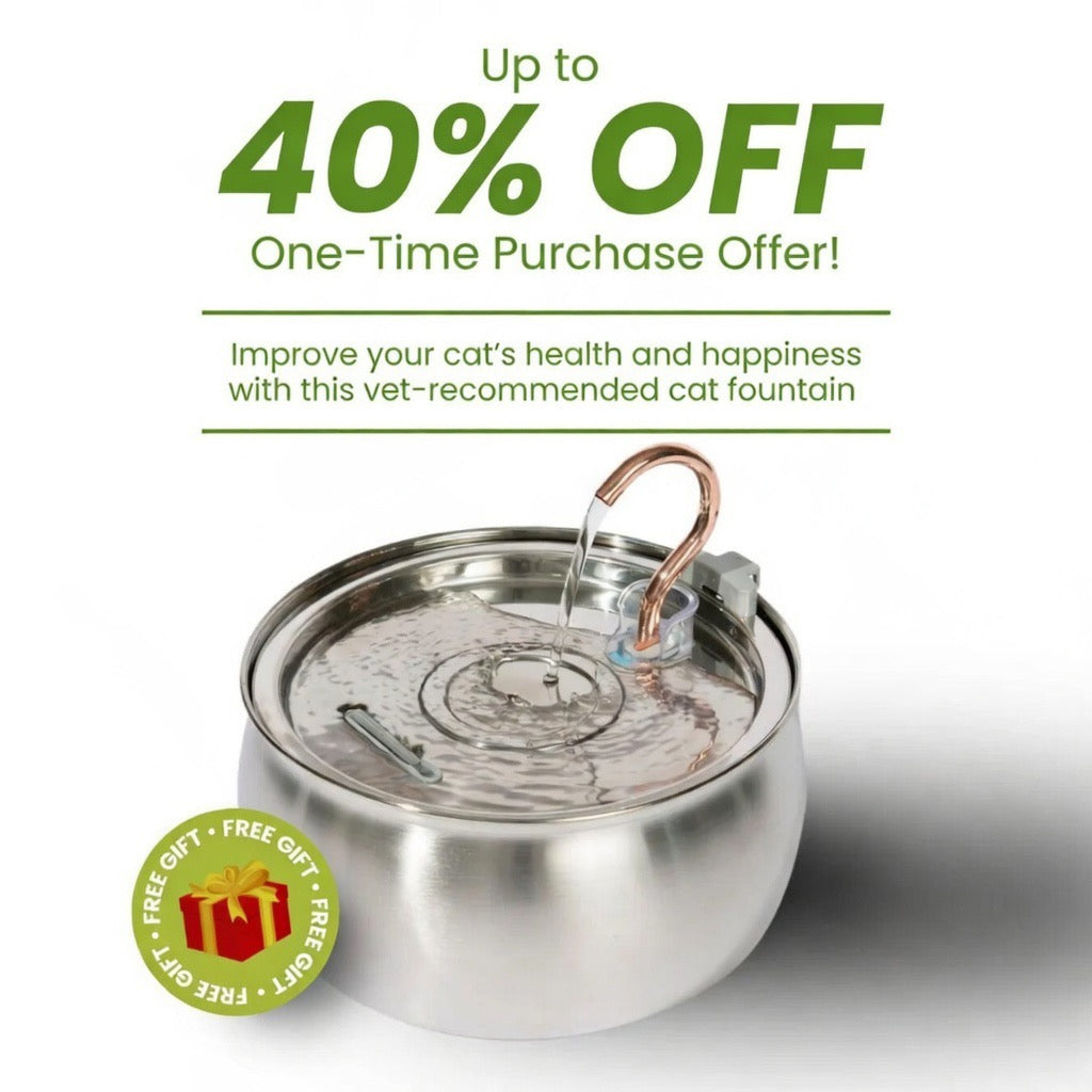 Nexafur Stainless Steel Cat Water Fountain