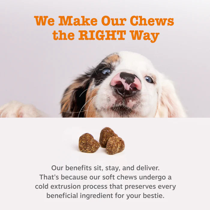 BioTail™ Advanced Probiotic Chews