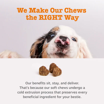 BioTail™ Advanced Probiotic Chews