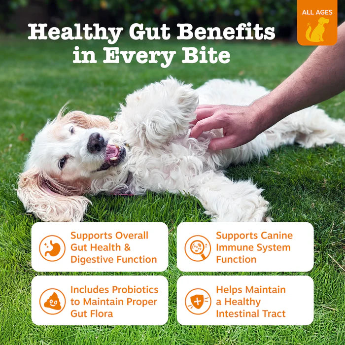 BioTail™ Advanced Probiotic Chews