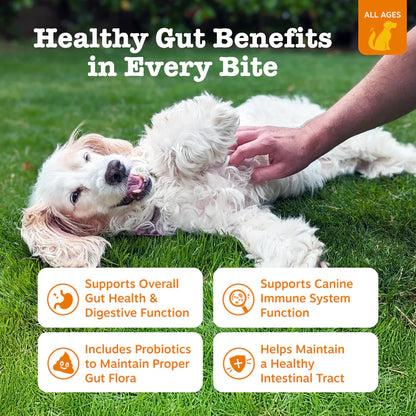 BioTail™ Advanced Probiotic Chews